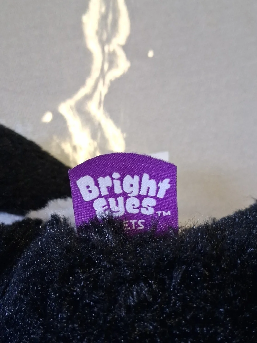 bright eyes adorable black